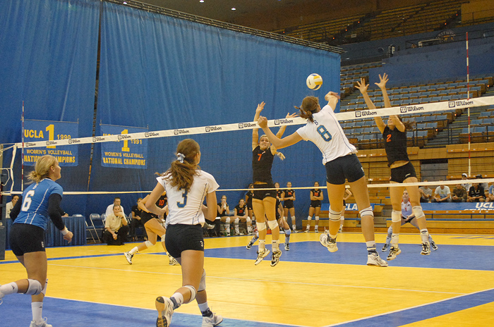 Canine recommendet sport love woman volleyball this